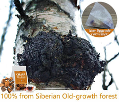 ULTHMOK chaga chunks visible in the tea bag, natural nutrients for a mellow brew.