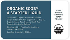 Urban Kitchen live culture with SCOBY for a successful first batch brew