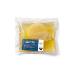 Urban Kitchen Organic SCOBY starter pouch for at-home kombucha brewing