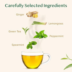 VAHDAM ginger mint green tea bags close-up showing fresh ingredients.
