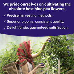 VAHDAM Indian farms banner indicating direct-from-source sourcing