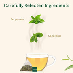 VAHDAM Pure Mint aromatic tea steep evokes cool aroma for a calming, rejuvenating sip