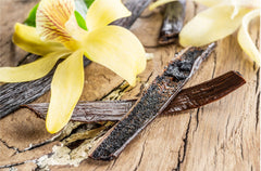 Vanilla Bean Kings Tahitian beans seeds visible signaling premium quality