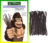 Vanilla Products USA 25 beans vacuum-packed for peak freshness