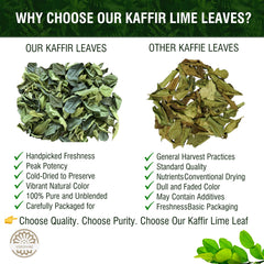 VERDIVIBE kaffir lime leaves close-up texture for culinary aroma