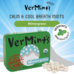 Vermints Wintergreen mints held in hand during a busy day.