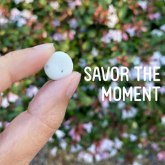 Packaging label highlights VerMints Organic Cinnamon mints as organic and non-GMO ingredients.