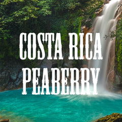 Volcanica Costa Rica Peaberry medium roast bag showcasing balanced brightness.