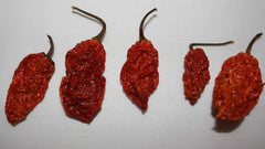 Wicked Tickle dried ghost peppers close-up shows vibrant color and heat.