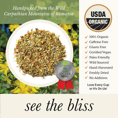 Wild Bliss St John's Wort Tea flower-closeup highlights natural ingredients for mood balance