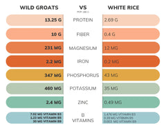 Wild Groats sprouting buckwheat—fresh greens and nutrients from sprouts.