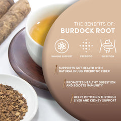 Worldwide Botanicals dried burdock root slices ready for stock or tea.