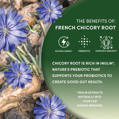 Worldwide Botanicals chicory brew in a cup with milk or creamer