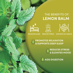 Closeup of 100% pure lemon balm leaves for Worldwide Botanicals tea