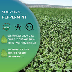 Worldwide Botanicals peppermint tea served iced for a refreshing beverage.