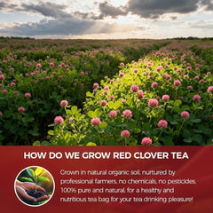 Box and individual tea bags for easy wellness routines.