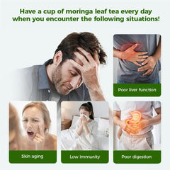 WOTIHA vitamin-packed moringa tea supports everyday energy and digestion
