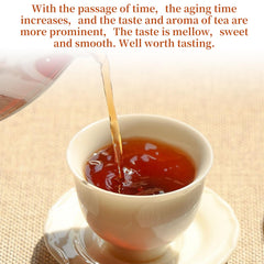 XIXICHA Pu-erh brewing scene highlights multi-steep flavor development.