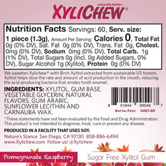 Xylichew Pomegranate Raspberry gum daily-use pack ready for travel.
