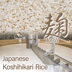 YAMASAN KYOTO UJI miso ready in a squeezable tube for home cooks.