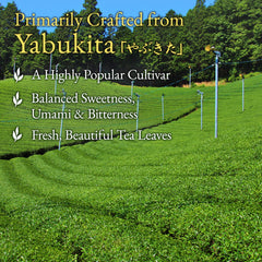 YAMASAN KYOTO UJI Sencha can be enjoyed hot or iced for versatile refreshment.