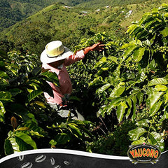 Yaucono ground coffee ultra-fine grind close-up, premium Arabica quality