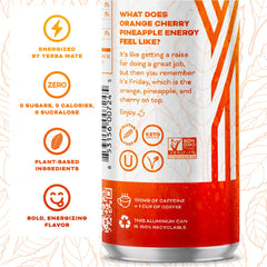 Seven plant-based ingredients used in Yerbaé Energy Seltzer.