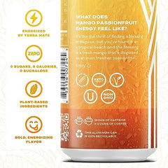 Yerbaé Variety Flex Pack front view—multi-flavor option for daily energy.