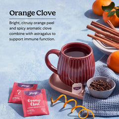 Close-up of cinnamon, ginger, clove and astragalus in the blend