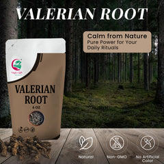 Yogi’s Gift valerian root dried-bulk display ideal for custom herbal blends