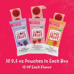 You Love Fruit grape snacks in a pouch for on-the-go snacking