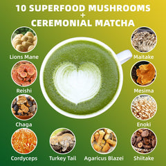 YoYoJo Mushroom Matcha brewed cup suggesting steady energy