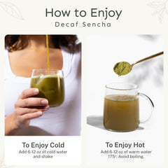 Cold brew Yu Tea Decaf Sencha, refreshing and caffeine-free