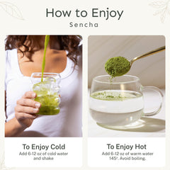 Scooping Yu Tea sencha powder for a quick hot brew.