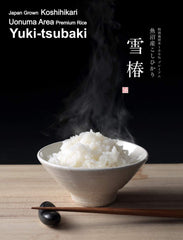 Yuki Tsubaki Koshihikari rice grains close up showing texture for sushi or pilaf