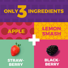 ZEST Delites individually wrapped fruit bar; mess-free snacking anywhere.