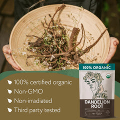 Zhivana Organics dandelion root herbal leaves close-up highlighting natural harvest.
