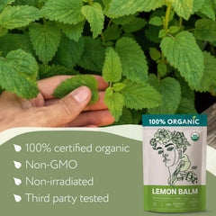 Zhivana Organics hand-picked Melissa leaves ready for infusion