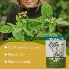 Zhivana Organics wild raspberry field emphasizes sustainable harvesting and purity
