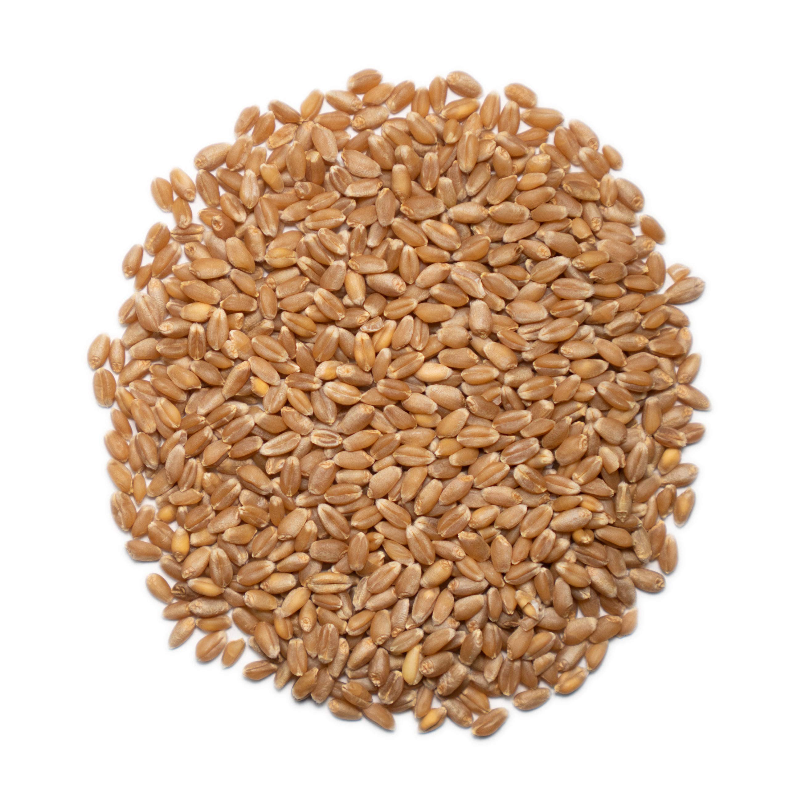 1000 Springs Mill Idaho-sourced wheat with regenerative farming practices