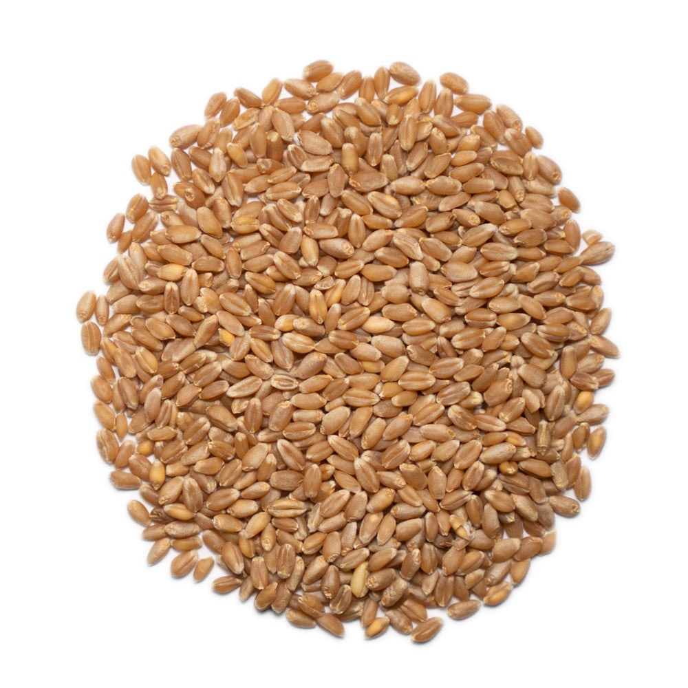 1000 Springs Mill Idaho-sourced wheat with regenerative farming practices