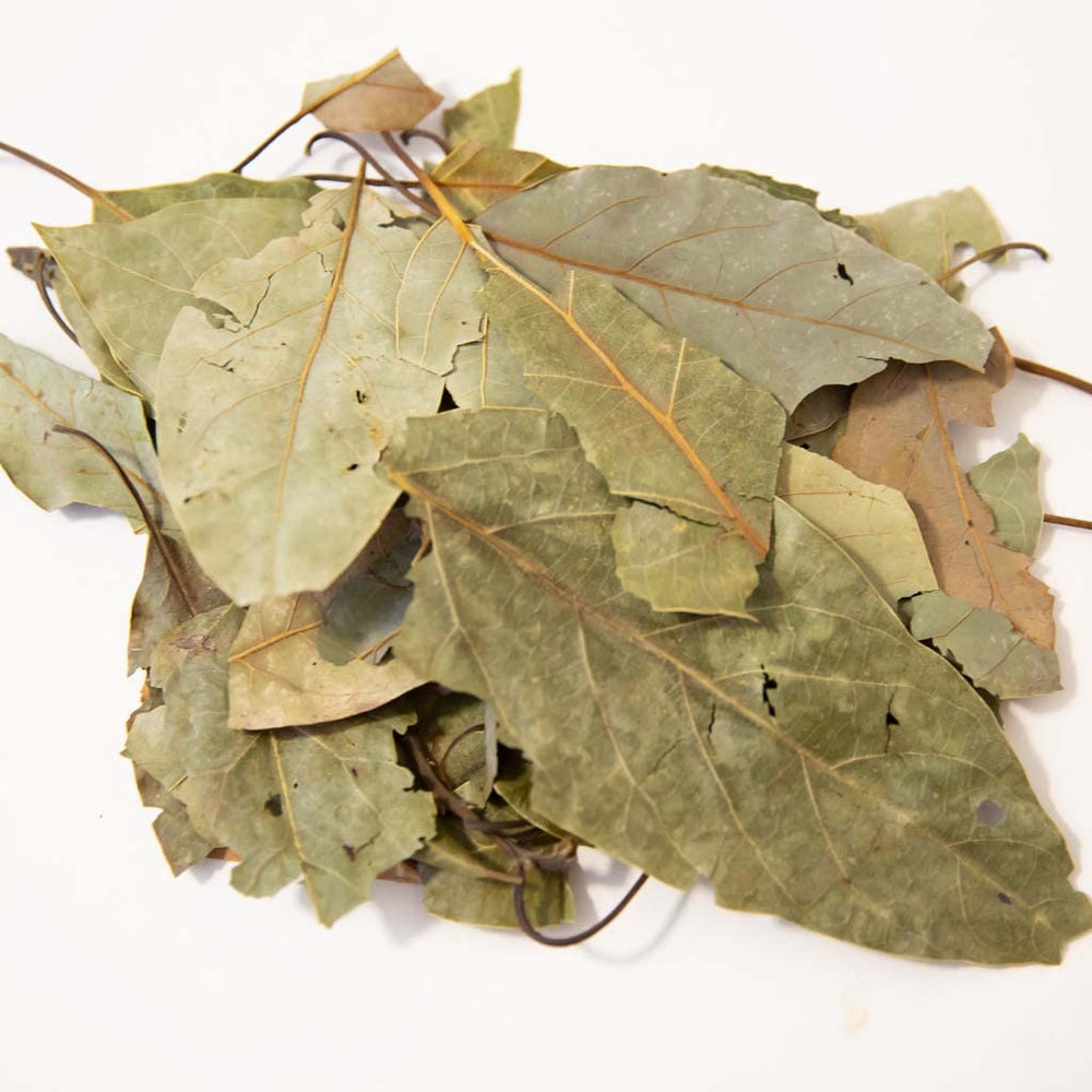 1400S Spices avocado leaves tea in cup, adds earthy aroma to soups.