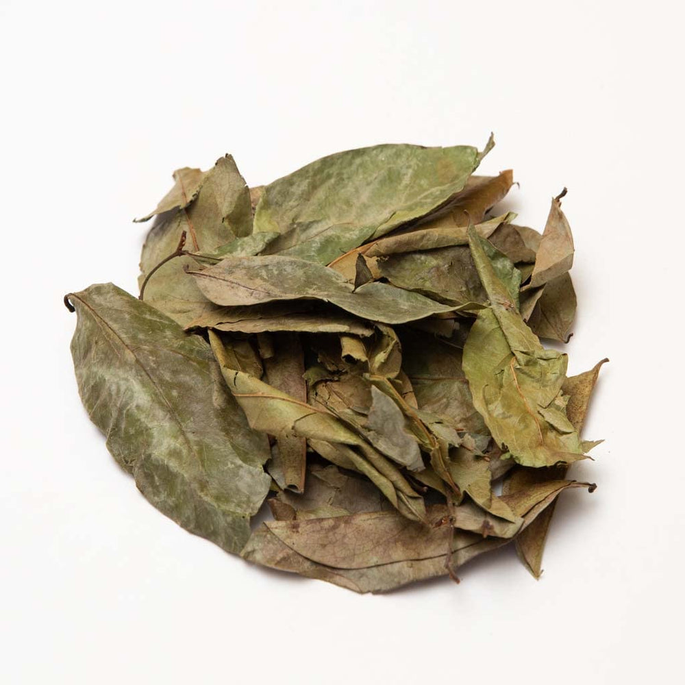 1400S SPICES dried soursop tea pack showing authentic leaves