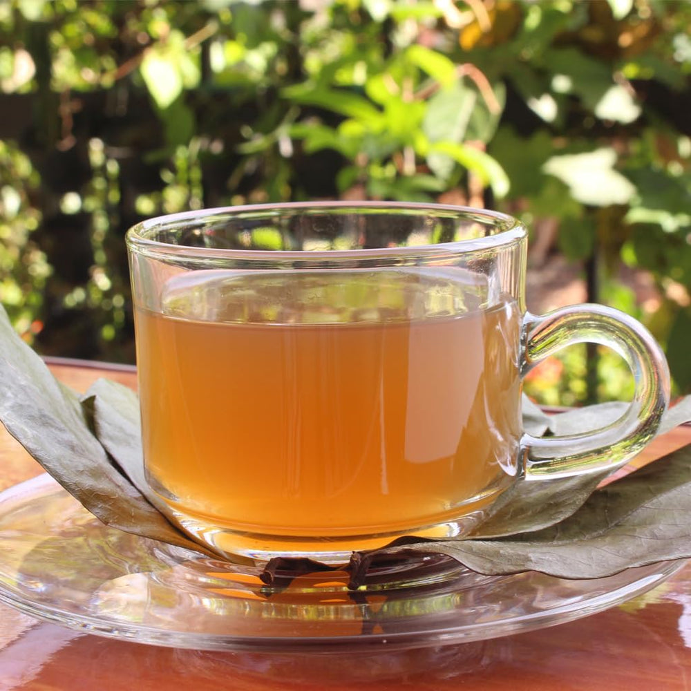 1400S SPICES graviola loose leaf tea ready to infuse