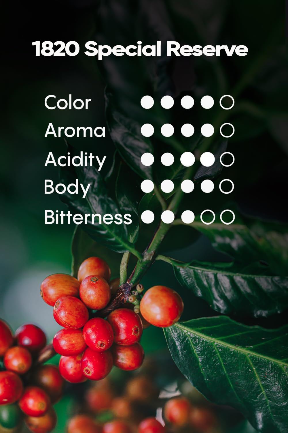 Close-up of Café 1820 Special Reserve grounds with a rich medium-dark roast