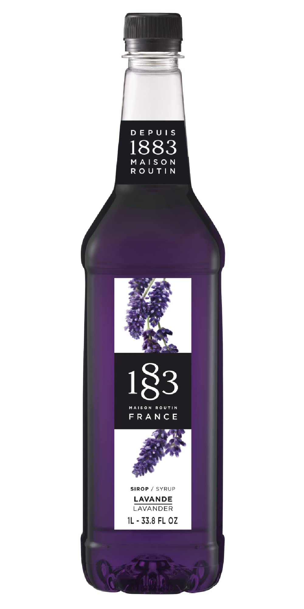1883 MAISON ROUTIN Lavender Syrup bottle front view highlighting premium French flavor