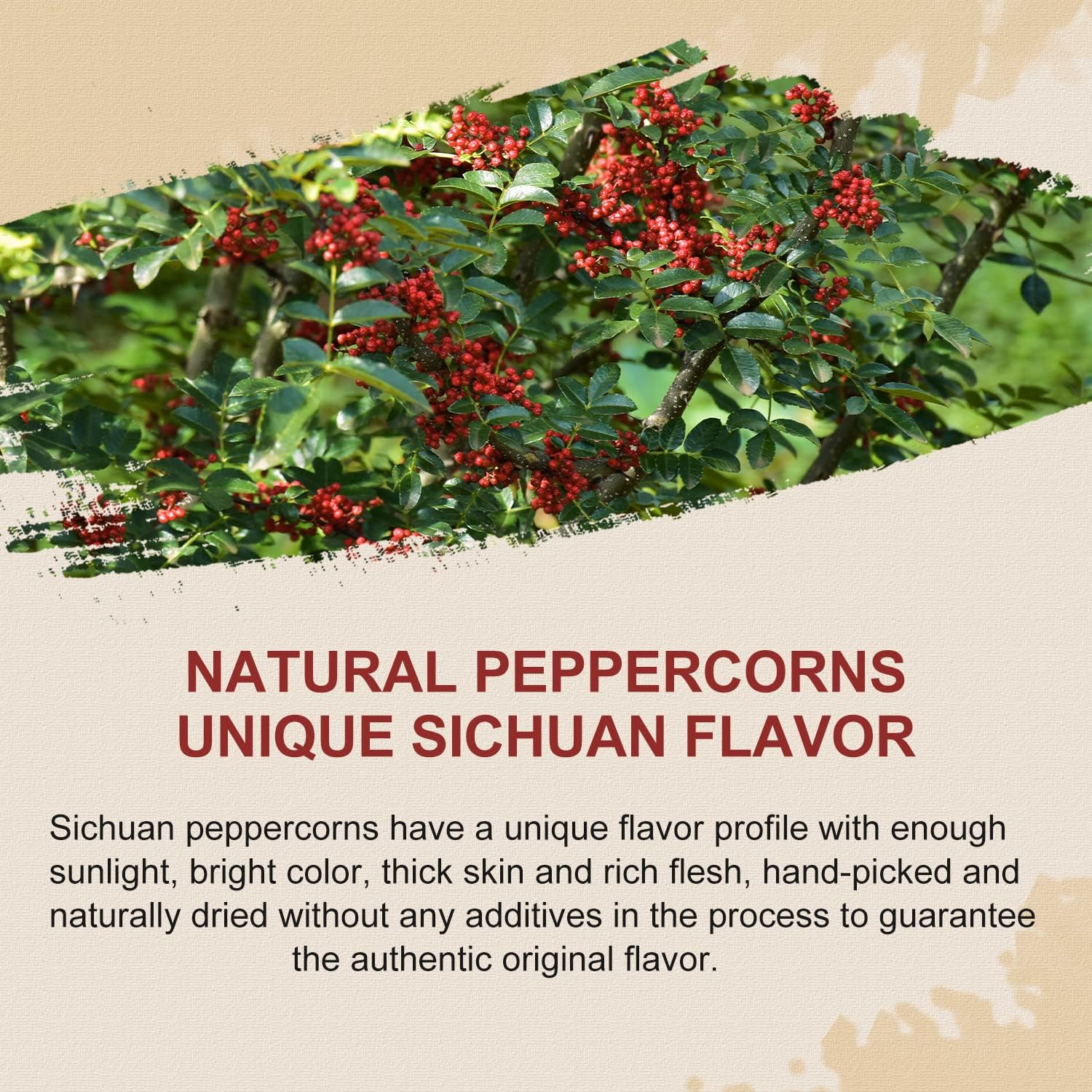 52USA Sichuan peppercorns lightly roasted to unlock fragrance