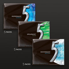 5 Gum Sugar-free bulk pack contains 15 packs for daily freshness.