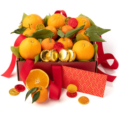 A Gift Inside fresh citrus and Belgian chocolate coins arrangement, ideal for family or corporate gifting.