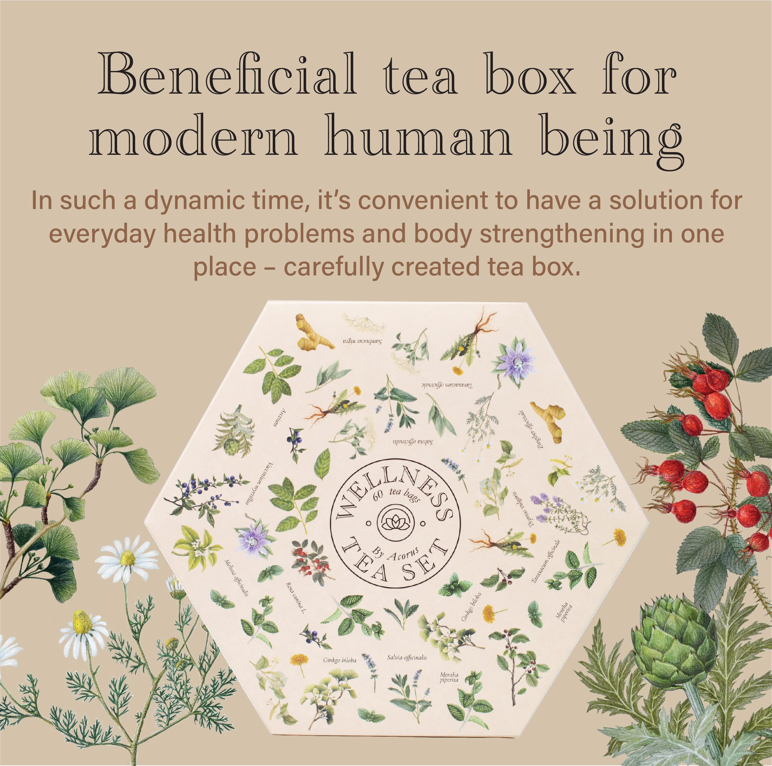 ACORUS Wellness Tea Set sixty bags ready for daily brewing.